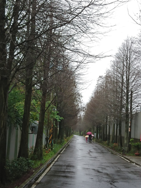 43324608.bbc2e1016a1b83c0ed2bd3a4c3f9589e.19030905