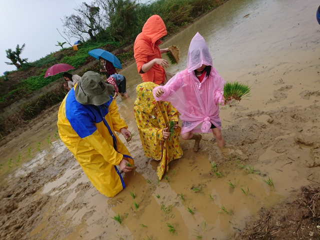 43319605.0d1f1c5903bf32857797bf18e2042c07.19030902