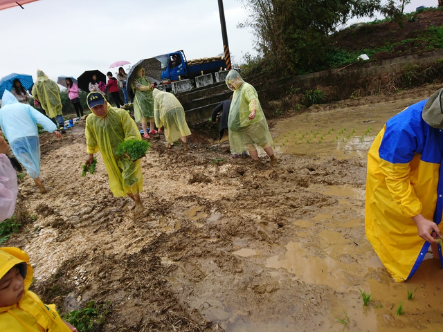 43319605.e1d126ab0373307f11902b963ab19c9b.19030902