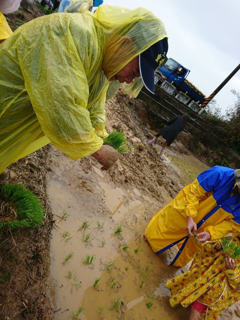 43319605.7b61e9e3952f6692f928d19db3ee4073.19030902